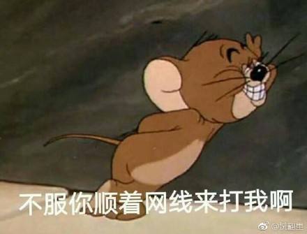 timg (1)