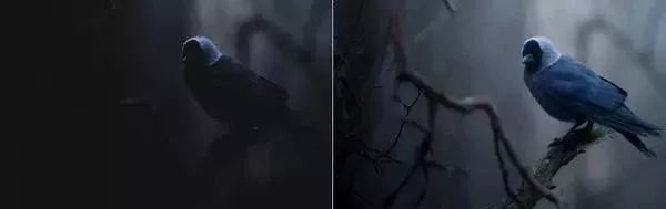 微信圖片_20190117232936