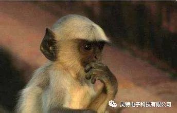 微信圖片_20190401093724