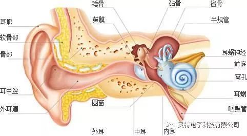 微信圖片_20181117095006.jpg